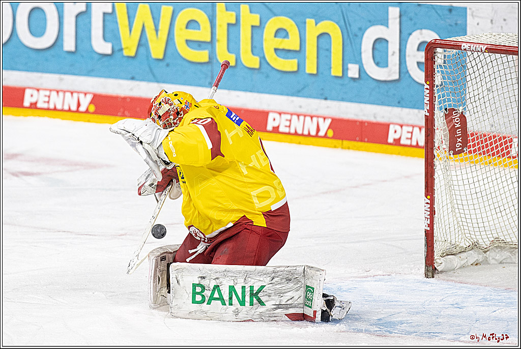 PENNY DEL;  Koelner Haie - Duesseldorfer EG; Koeln, 02.01.2023